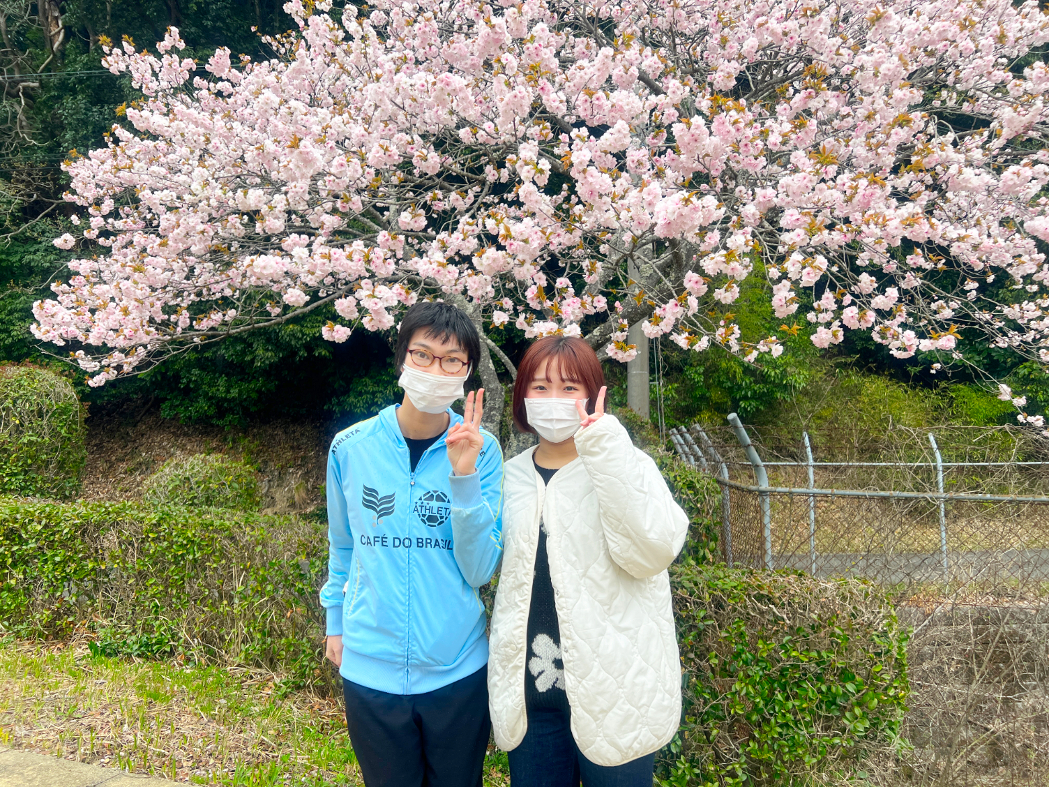 花見