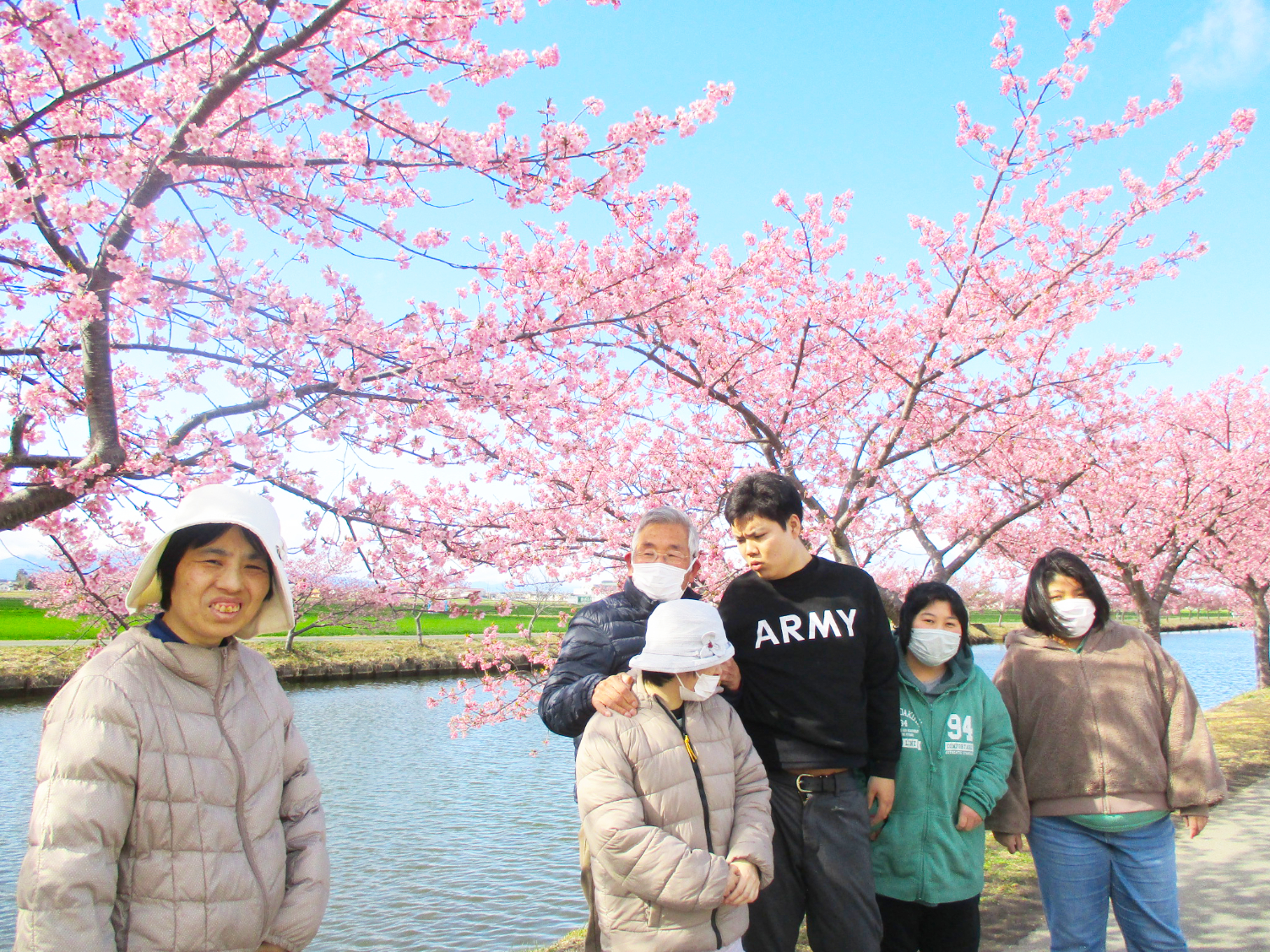 河津桜花見松阪