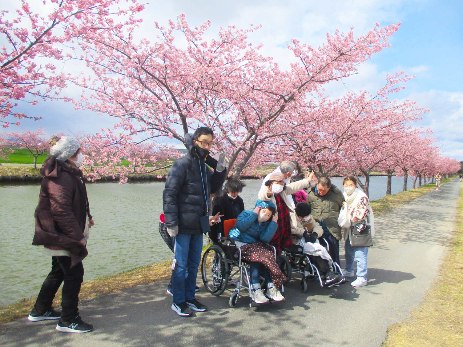 河津桜花見松阪