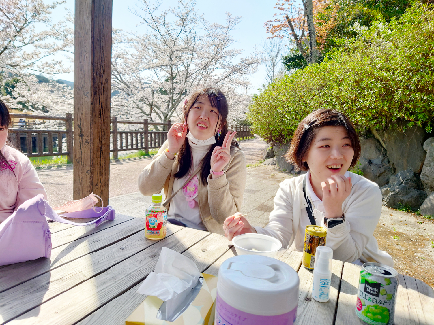 花見とことめの里